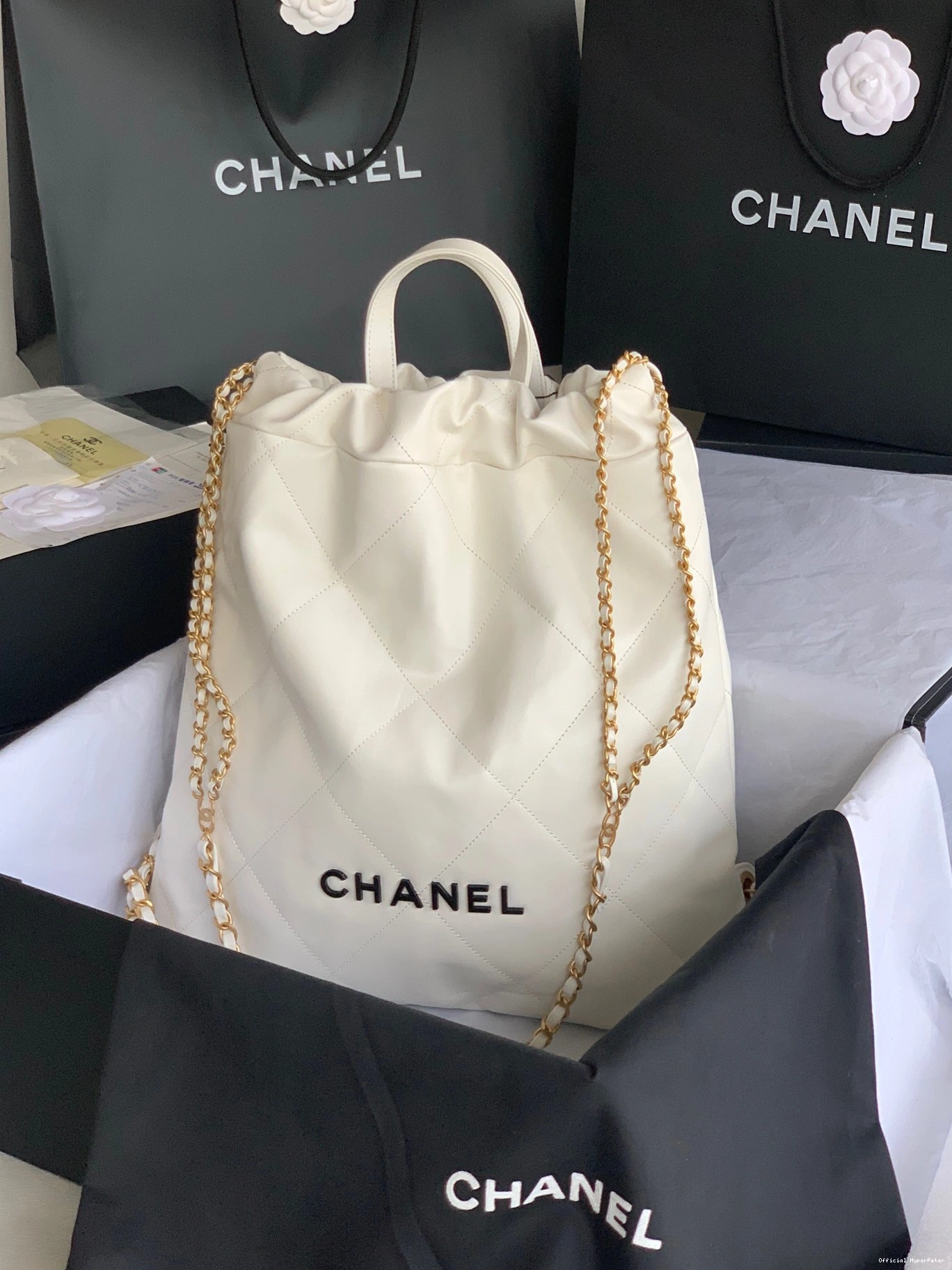 HyperPeter CHANEL LARGE 22 BACKPACK 0815